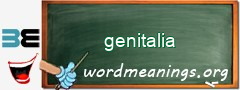 WordMeaning blackboard for genitalia